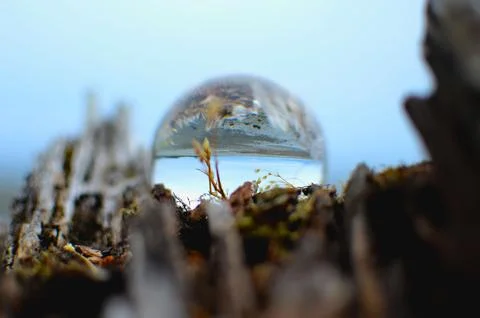 Photo Orb on the Beach edited image Stock Photos