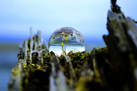 Photo Orb on the Beach edited image Stock Photos