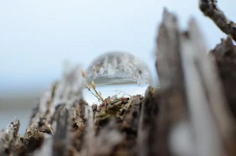 Photo Orb on the Beach edited image Stock Photos