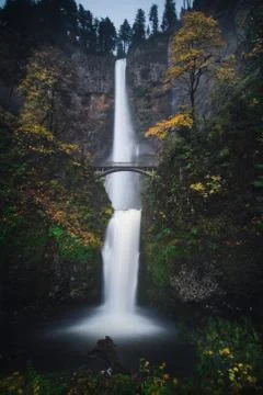 Photo of the. Stock Photos