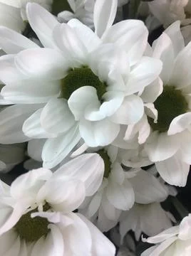 PHOTO 库存照片