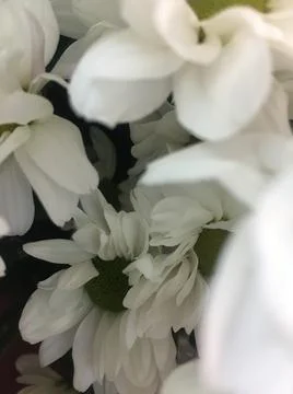 PHOTO 库存照片