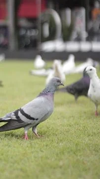 Photo 스톡 사진