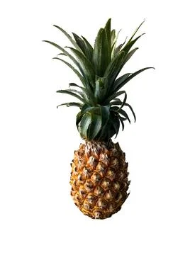 Photo pineapple on a white background, isolate, cut Stock-Fotos