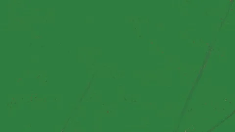 Photo Professional On Chroma Key For Compositing Video stock 338018033