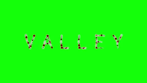 Photo Professional on Green Screen Chroma Key Background Stock Footage 337996830