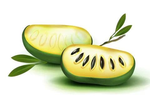 Photo Realistic 3d vector pulp and seeds with leaves isolated on white backgr Stock Illustration