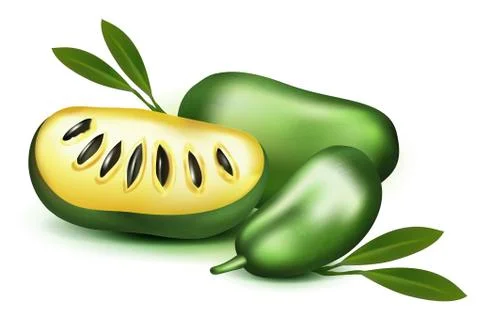 Photo Realistic 3d vector pulp and seeds with leaves isolated on white backgr Stock Illustration