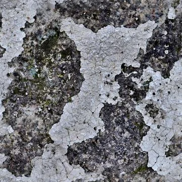 Photo realistic seamless texture pattern of paint peeling at walls. Stockfoto's