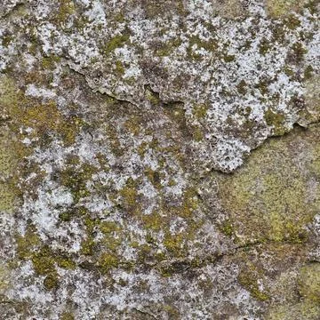 Photo realistic seamless texture pattern of paint peeling at walls. Stockfoto's