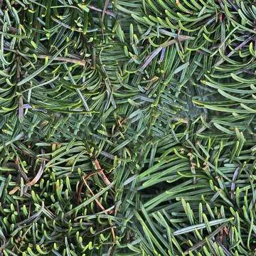 Photo realistic seamless texture pattern of organic plant leaves. Foto stock