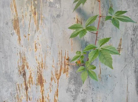 Photo of a rusty texture. Old rusty weathered metal Foto stock