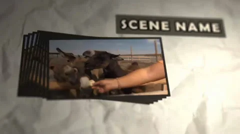 Photo sequence - from the video Stock After Effects