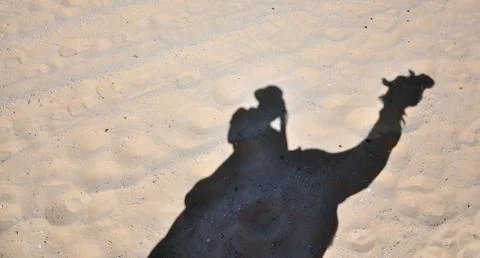 Photo of shadow of camel Stock Photos