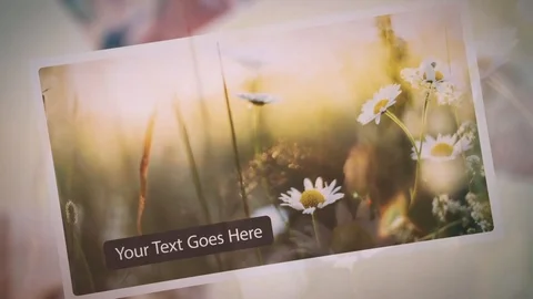 Photo Slideshow After Effects stock