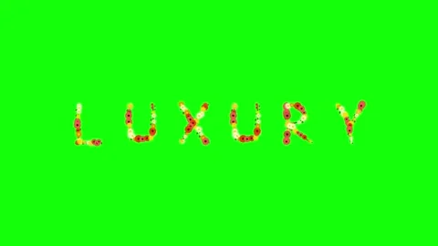 Photo Standing with Clock on Green Screen Chroma Key Background Stock Footage 337996519