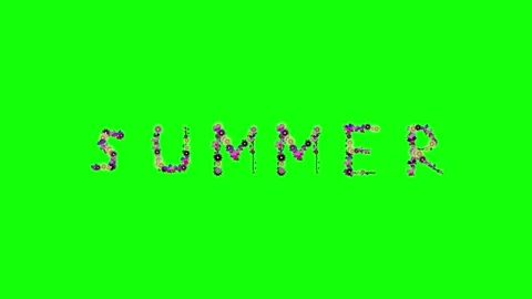 Photo Standing on Green Screen Chroma Key Background Video stock 337996777