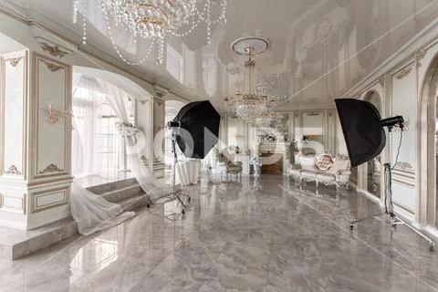 Photo Studio interior. classic luxurious apartments with a white fireplace, sofa Stock Photos