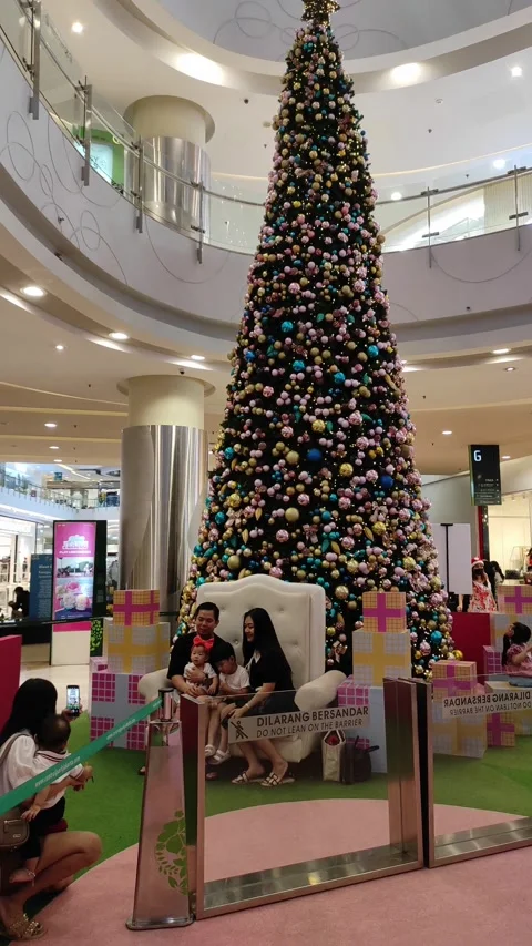 A photo taking session in front of christmas tree Stock Footage 259540686