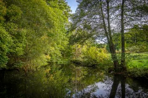 A photo of tree's overhanging a river in the beautiful surrey hills near Guil Stock Photos