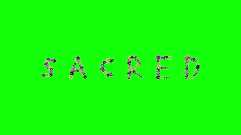 Photo Walking on Chroma Key for Compositing Stock Footage 337996682