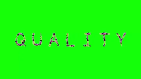Photo Walking - Chroma Key Green Screen Footage Stock Footage 337996653