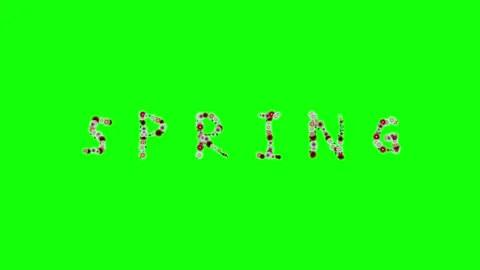 Photo Walking with Clock on Green Screen Chroma Key Background Stock Footage 337996742
