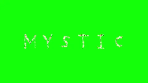 Photo Walking with Man - Chroma Key Green Screen Footage Stock Footage 337996573