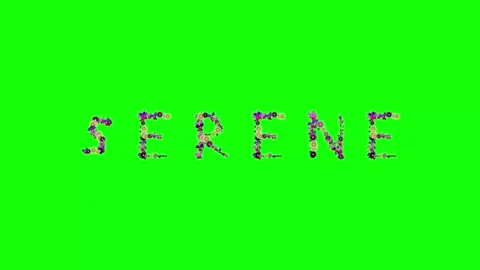 Photo Walking with Man - Chroma Key Green Screen Footage Stock Footage 337996689