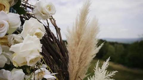 Photo zone with elements of plants and thin branches of trees.  Stock Footage 243289132