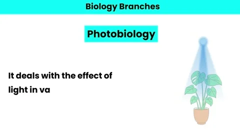 Photobiology Stock Footage 276281438