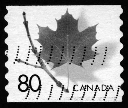 Photo,Canada, 2004, maple leaf, branch, Stock Photos