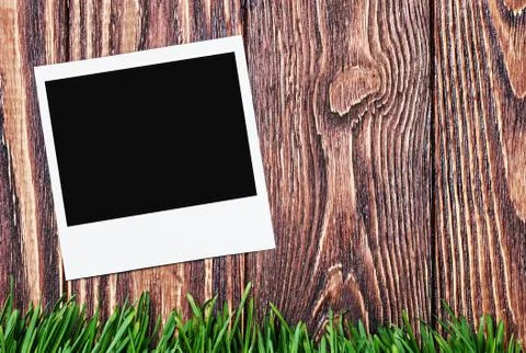 Photoframe on the background of grass Stock Illustration