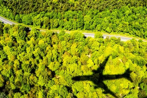 Photograph of a black plane shadow or silhouette on the bright green forest t Stock Photos