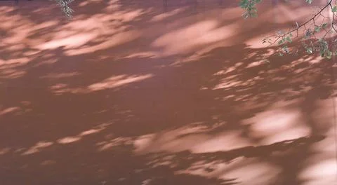 Photograph the orange wall with the shadow of the foliage of the bushes Foto stock
