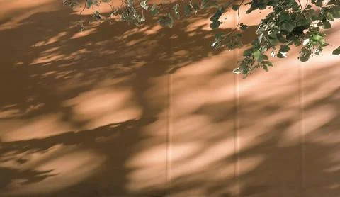 Photograph the orange wall with the shadow of the foliage of the bushes Foto stock