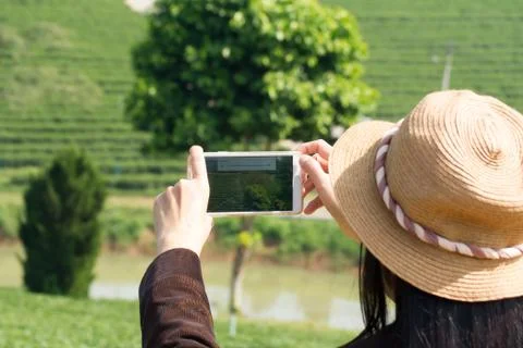 Photograph Stock Photos