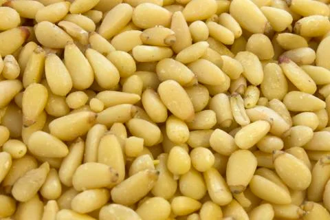 This is a photograph of Pine nuts background Foto stock