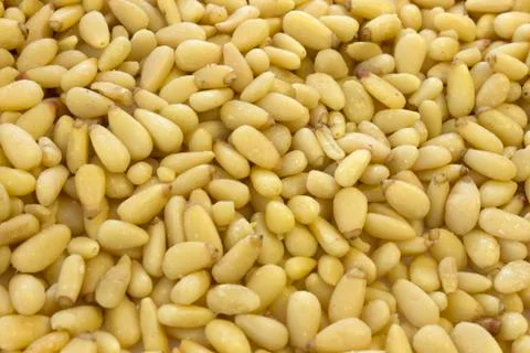This is a photograph of Pine nuts background Stock Photos
