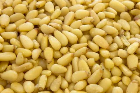 This is a photograph of Pine nuts background Stock Photos