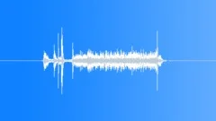 PhotographSound Effect