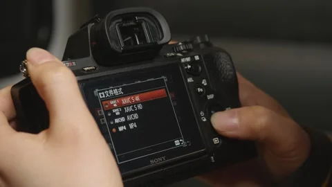Photographer Adjusting Sony Mirrorless Camera Settings on LCD Screen Vídeos de archivo 334647709