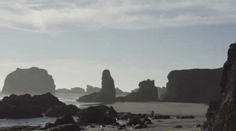 Photographer On Beach Stock Footage 67848817