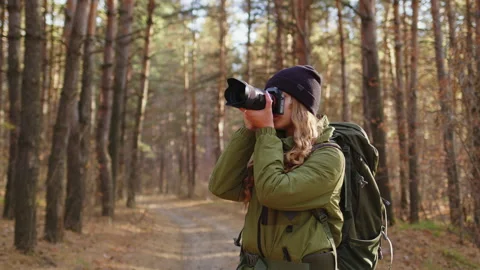 Photographer Exploring the Forest with a Camera Video stock 311334827