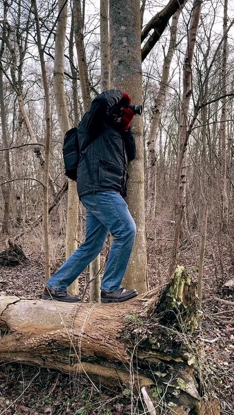 Photographer Exploring a Forest Capturing Nature's Details in Winter Settings Stockbeeldmateriaal 297616480