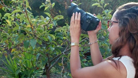 Photographer Stock Footage 218621215