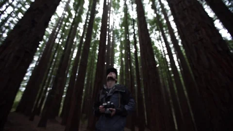Photographer In Forest Stock Footage 84642408