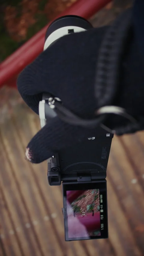 Photographer Holding A Camera While Walking On Wooden Bridge Trail Vídeo Stock 304910298