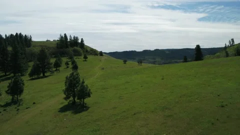 Photographer in Meadow Stock Footage 153625959