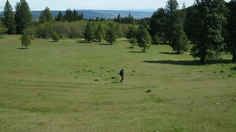 Photographer in Meadow Stock Footage 153626308